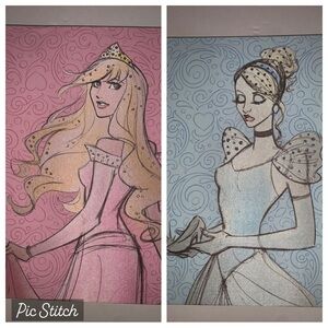 *NEW* Disney Diary • Cinderella & Sleeping Beauty Mixed Two-Sided Journal (NWT)
